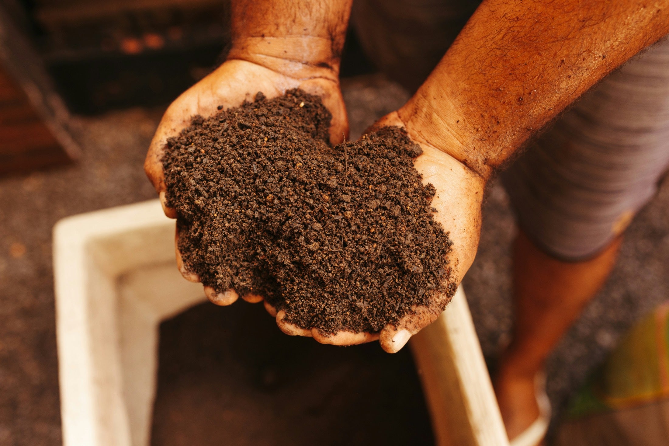 Soils